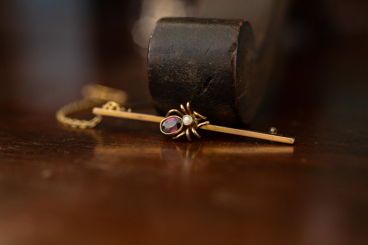 Antique Garnet and Seed Pearl Set Spider Brooch