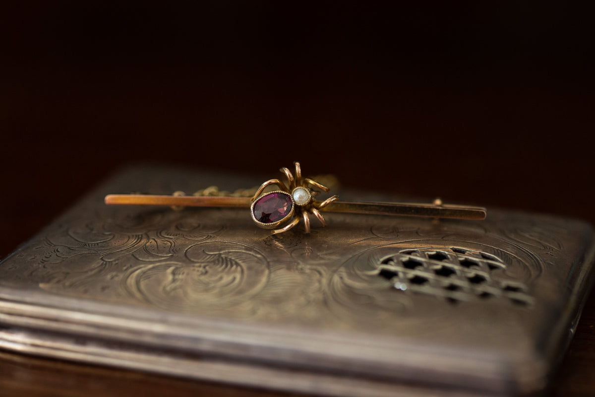 Antique Garnet and Seed Pearl Set Spider Brooch
