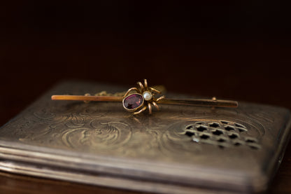 Antique Garnet and Seed Pearl Set Spider Brooch