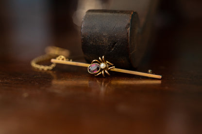 Antique Garnet and Seed Pearl Set Spider Brooch