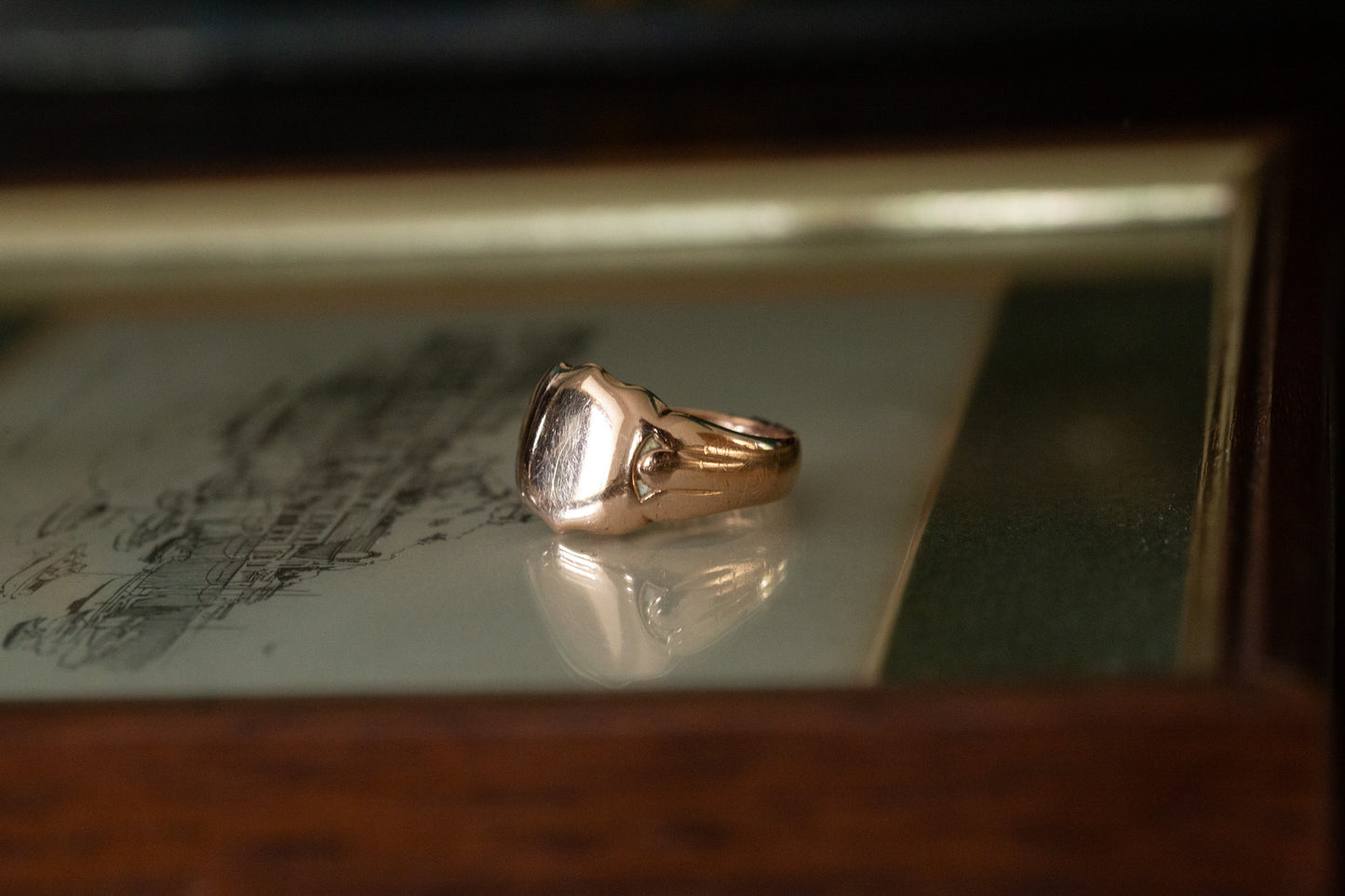 Rose Gold Shield Head Signet Ring
